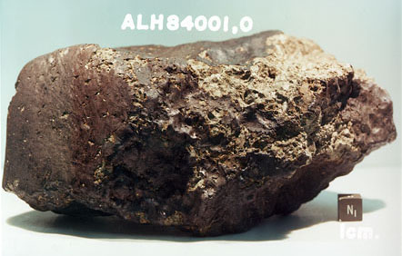 En av Mars-steinene som blir undersøkt med tanke på spor av primitivt liv. Foto: NASA