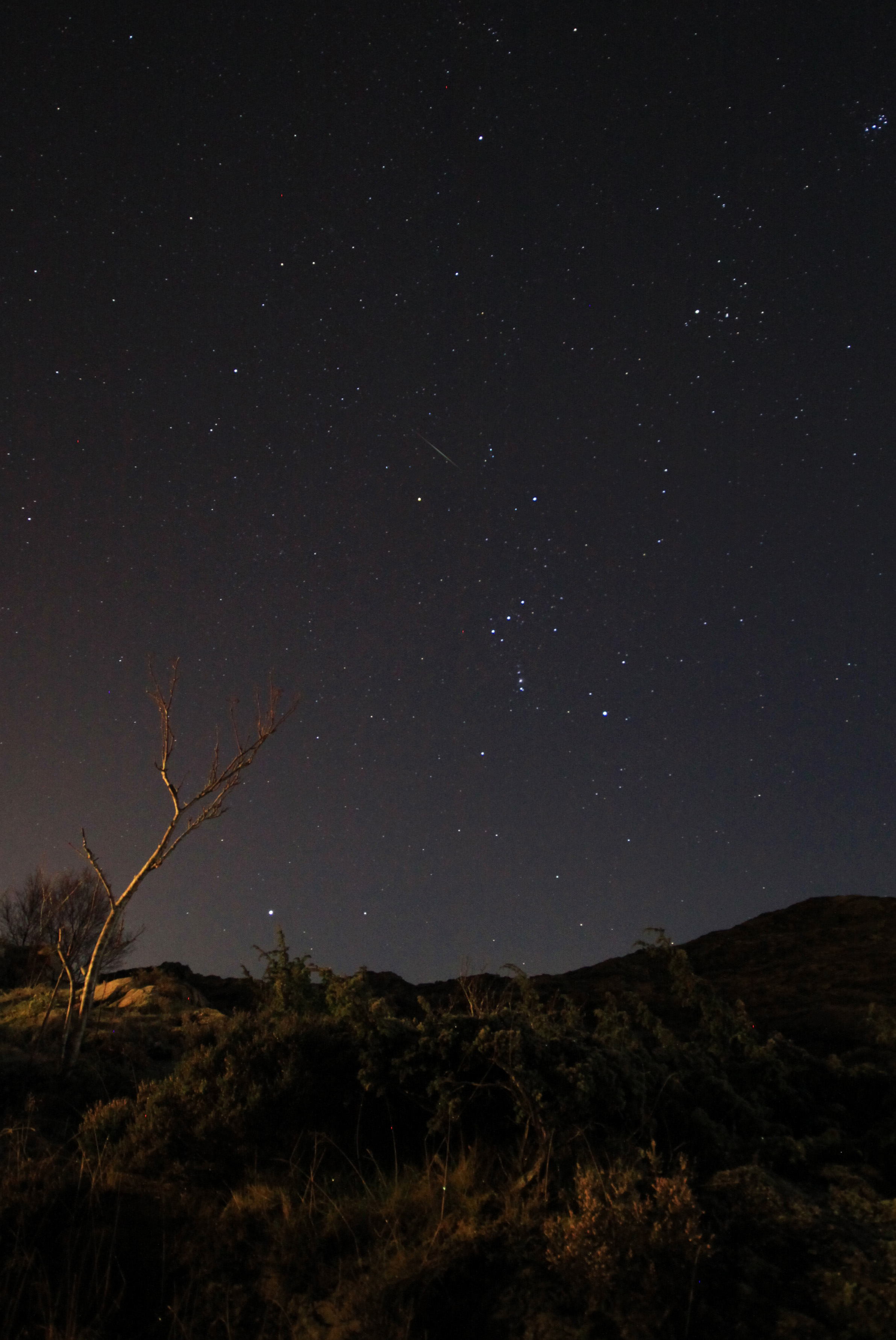 Geminide-meteor fotografert fra Sotra utenfor Bergen tirsdag kveld. Foto: Stian Espe
