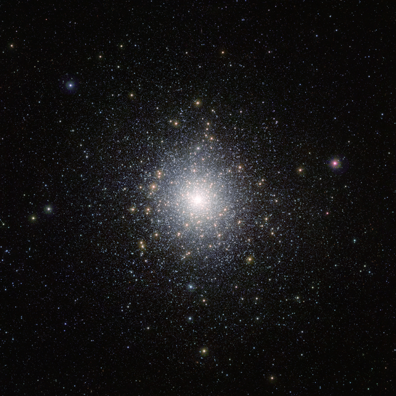 Inne i dette stjernemylderet finnes det en rekke uvanlige stjerner. Foto: ESO/M.-R.Cion/VISTA  Magellanic Cloud survey / Cambridge Asronomical Survey Unit