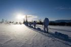 På skimarsj gjennom Gressåmoen nasjonalpark i Nord-Trøndelag, på vei mot Porsanger i Finnmark. Den dristige marsjen strekker seg over 150 mil. (Foto: Christian Nørstebø/Forsvarets Forum)