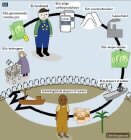 Ond sirkel: Illustrasjon av EUs barrière mot utviklingslandenes sukkereksport til Europa. (Ill.: DR)