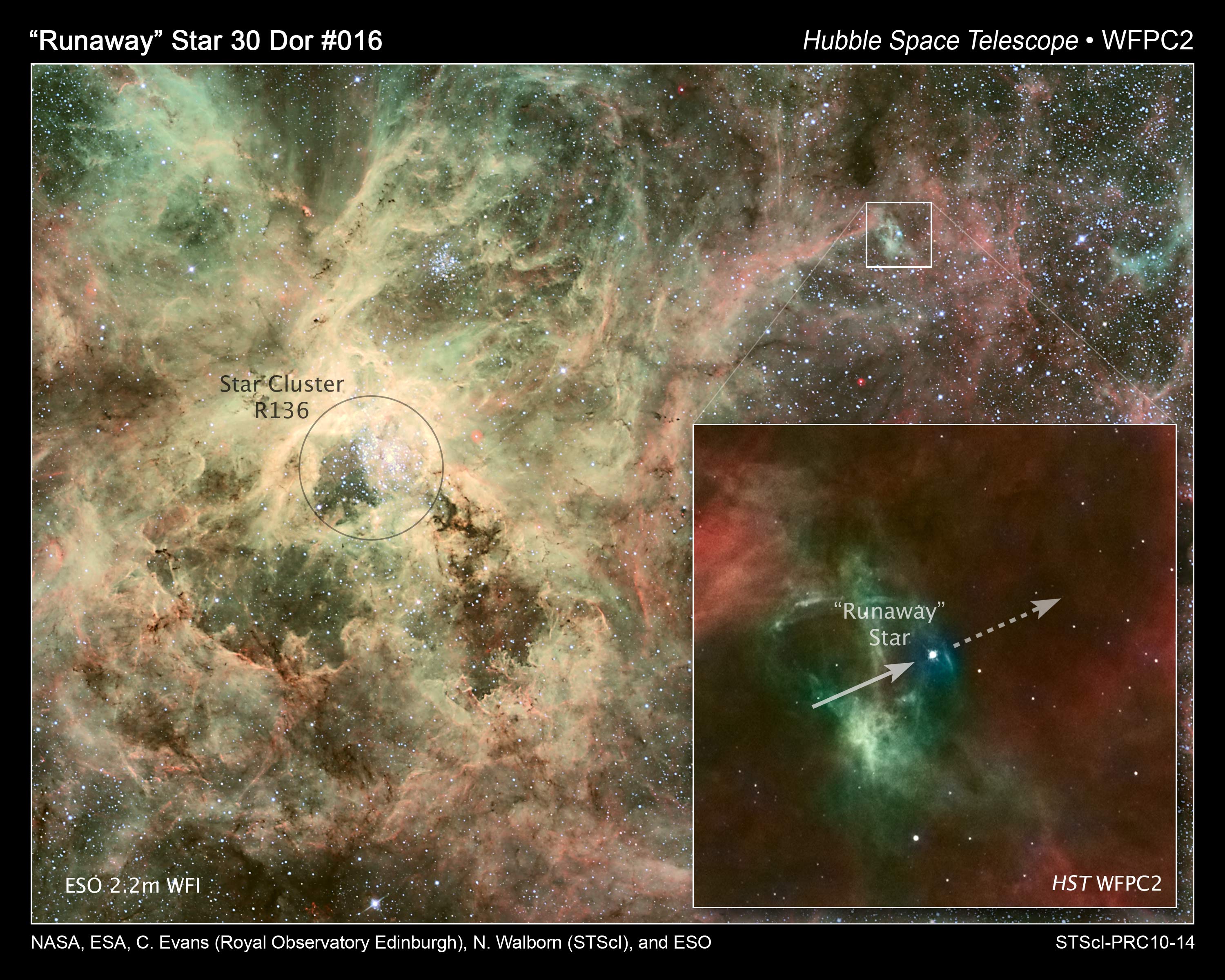 Gasståken 30 Doradus i Den store magellanske sky og den spesielle stjernehopen R136. Nede til høyre er den løpske, svært tunge stjernen innfelt og bevegelsesretningen antydet. Foto: NASA, ESA, C. Evans (Royal Observatory Edinburgh), N. Walborn (STScI) og ESO
