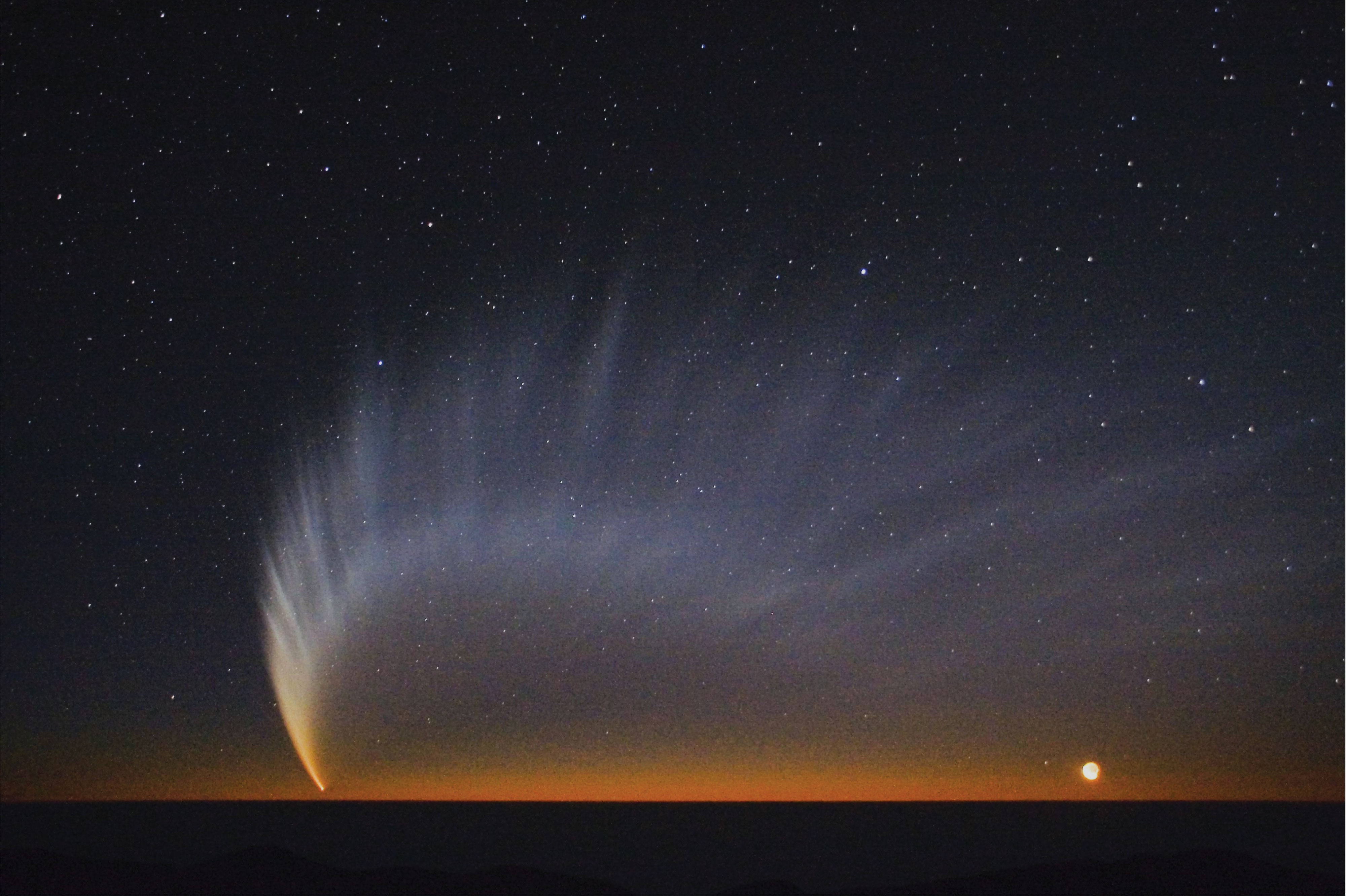 Komet McNaught fotografert fra Sør-Amerika i januar 2007. Dersom vi er heldige, kan ISON bli et enda langt flottere skue!  Foto: ESO