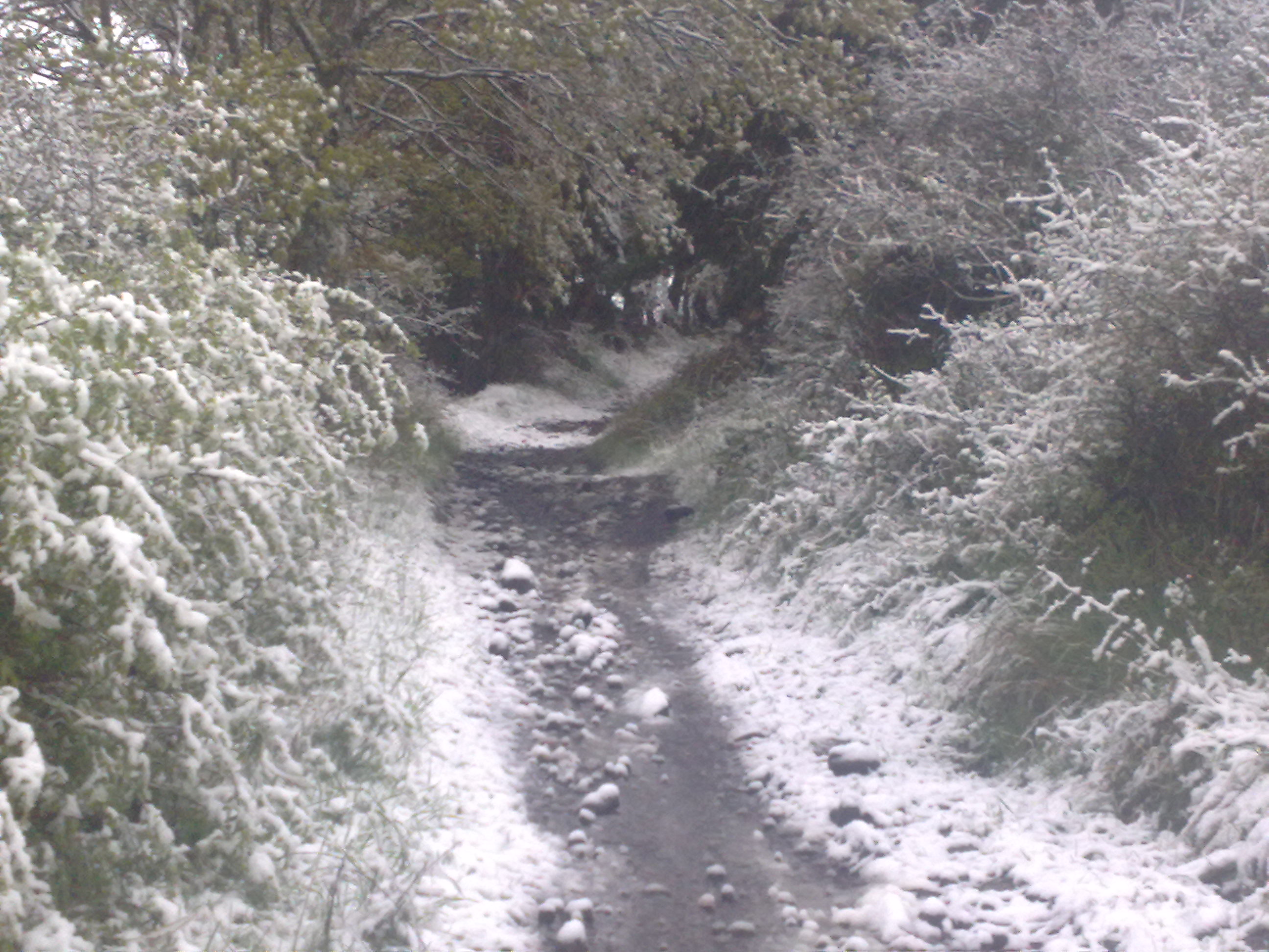 Snø i Sør-Frankrike i mai. Bevist.