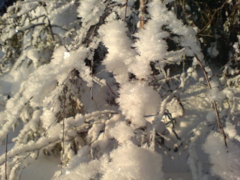 Noen ganger snør det i april (foto: NRK/Vivi Stenberg)