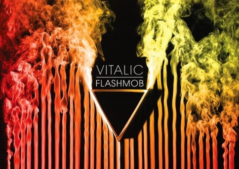 Coveret til Vitalic's nye album Flashmob