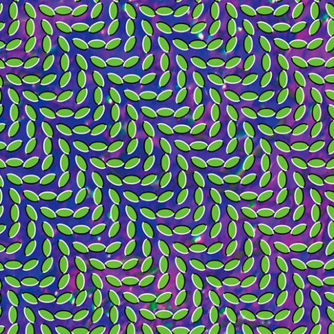 anmeldelse-animal-collective